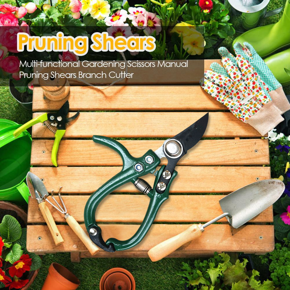 Pruning & Care Tools