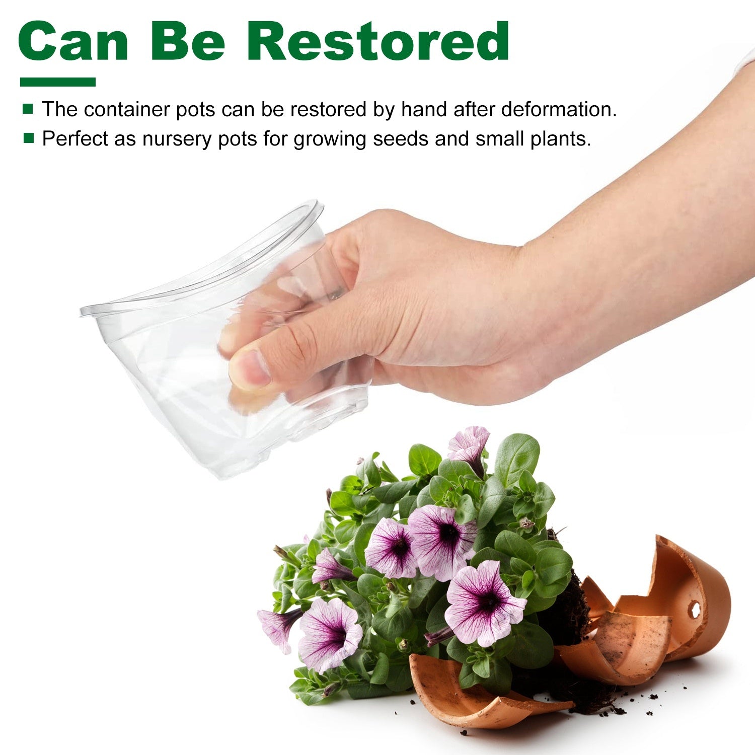 Propagation Dome Pot — See Roots Form, Keep Cuttings Happy