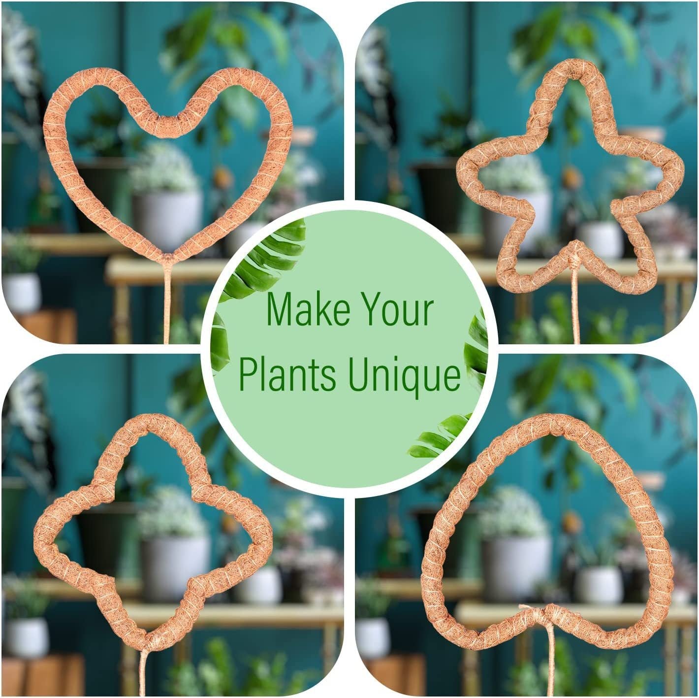 Flexible Coir Moss Pole for Happy, Upright Climbers