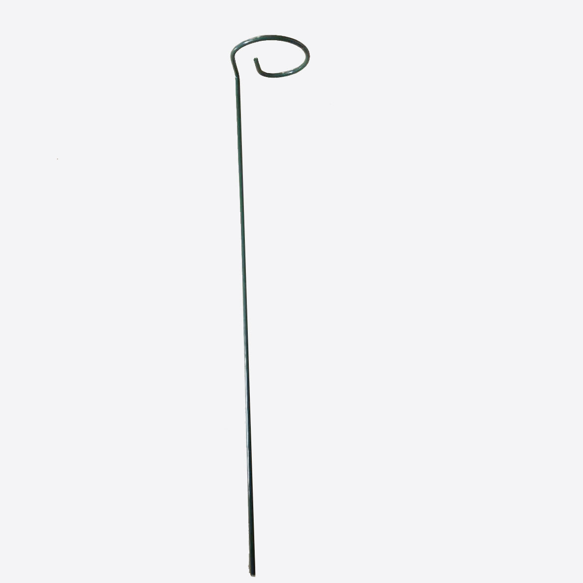 Indoor Plant Stakes — Upright Growth Without Stress