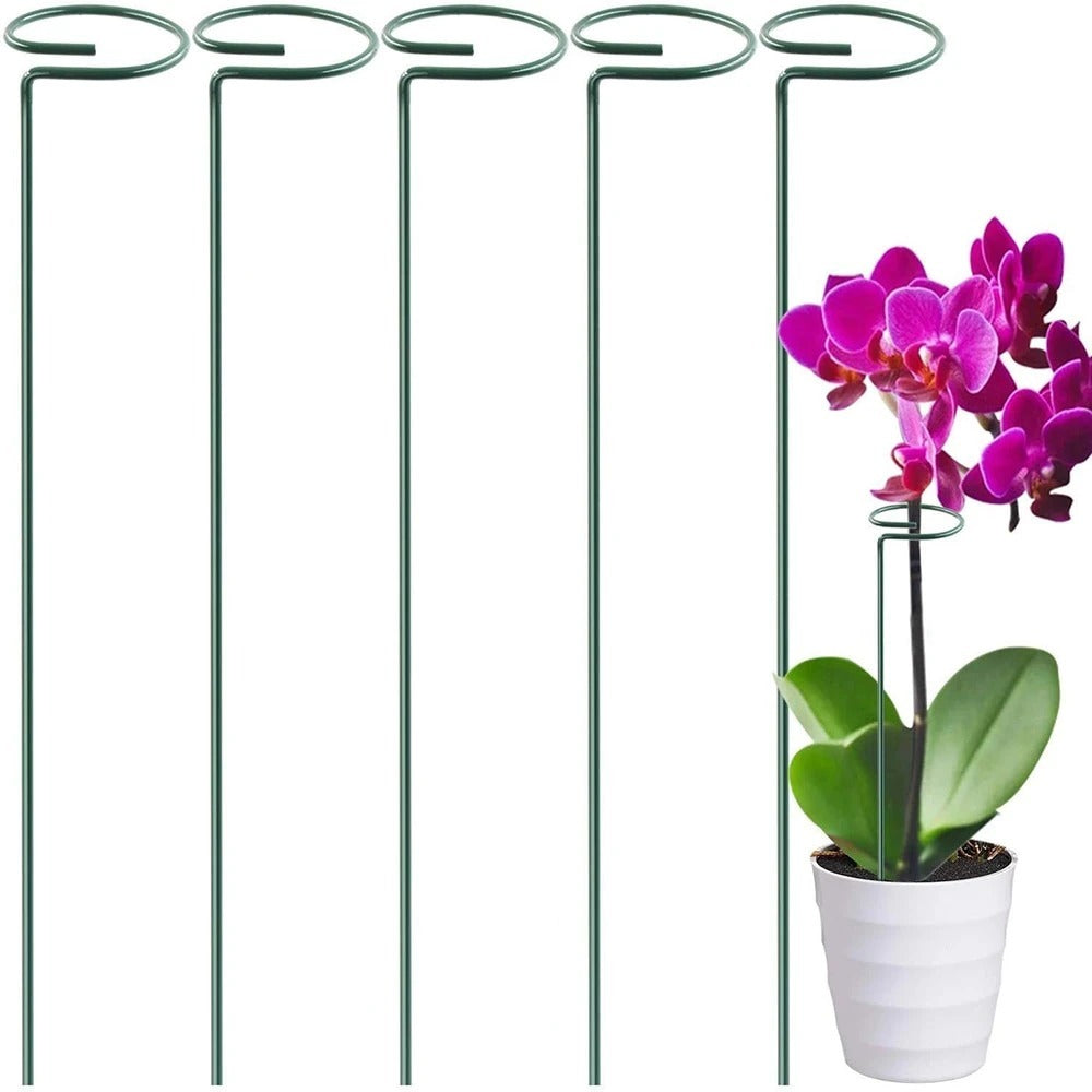 Indoor Plant Stakes — Upright Growth Without Stress