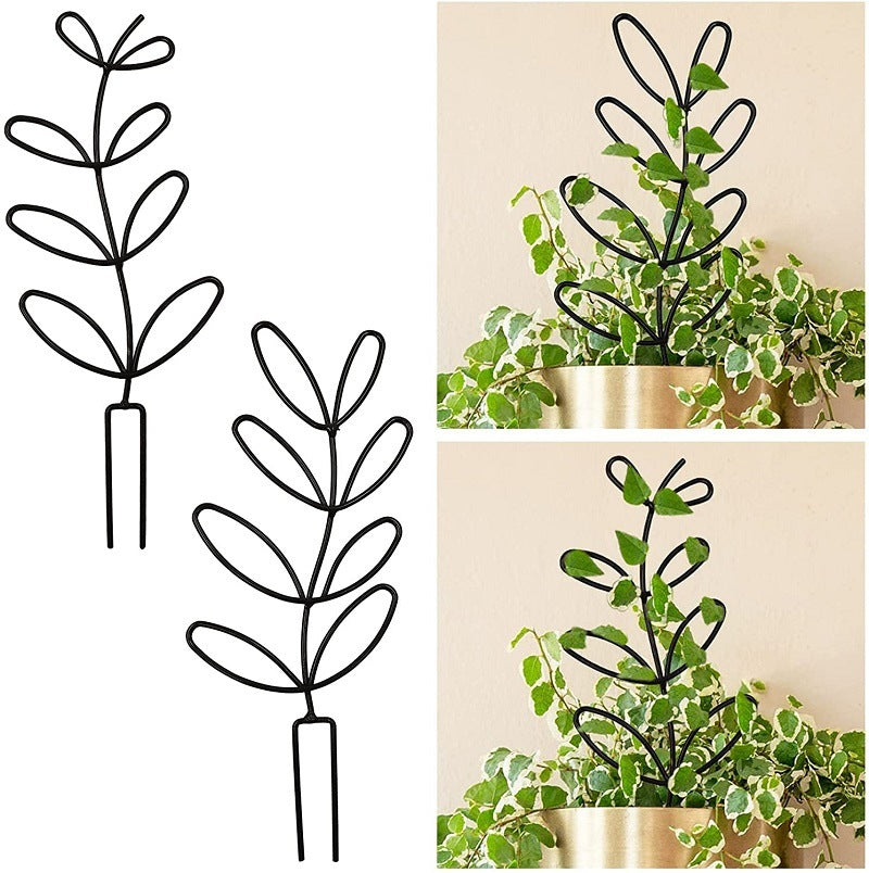 Metal Trellis to Train Happy Indoor Vines