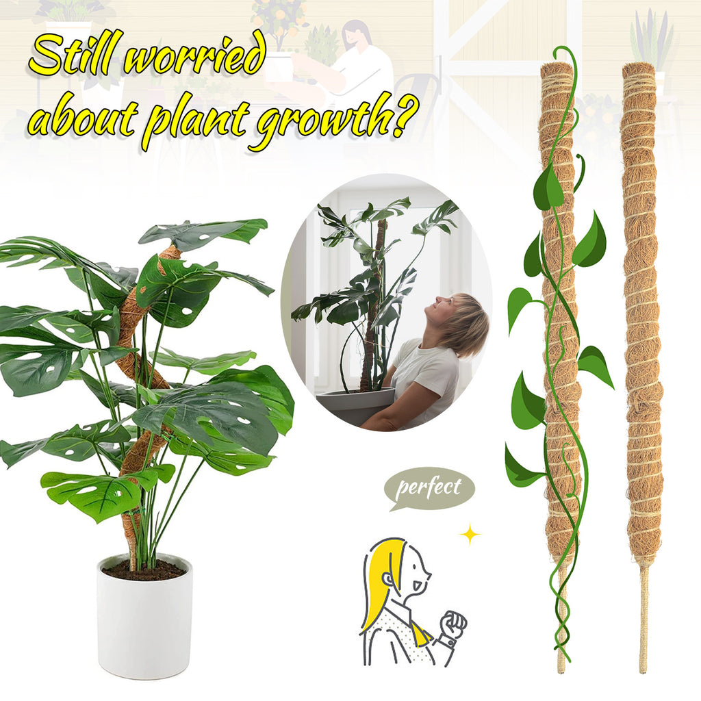 Flexible Coir Moss Pole for Happy, Upright Climbers