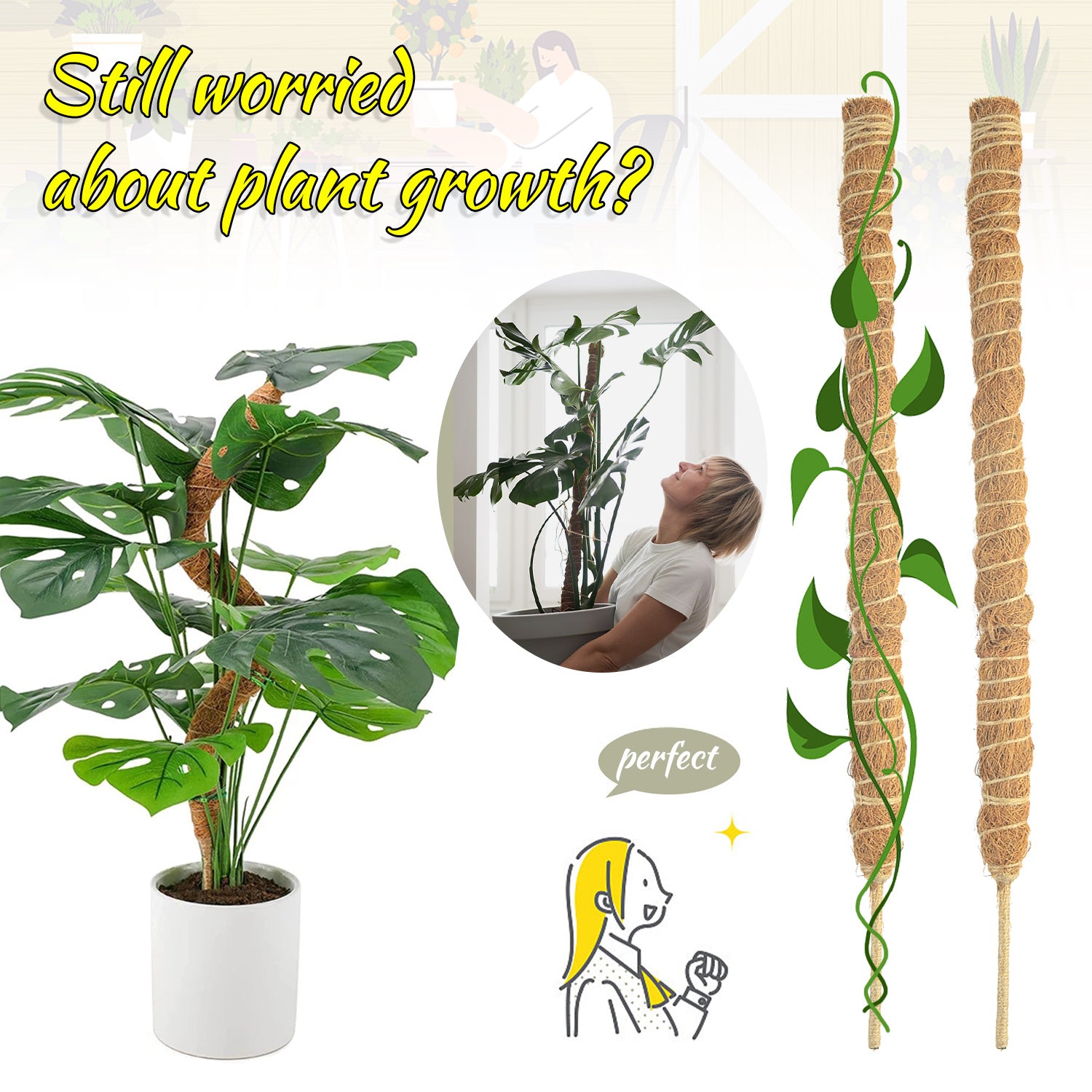 Flexible Coir Moss Pole for Happy, Upright Climbers