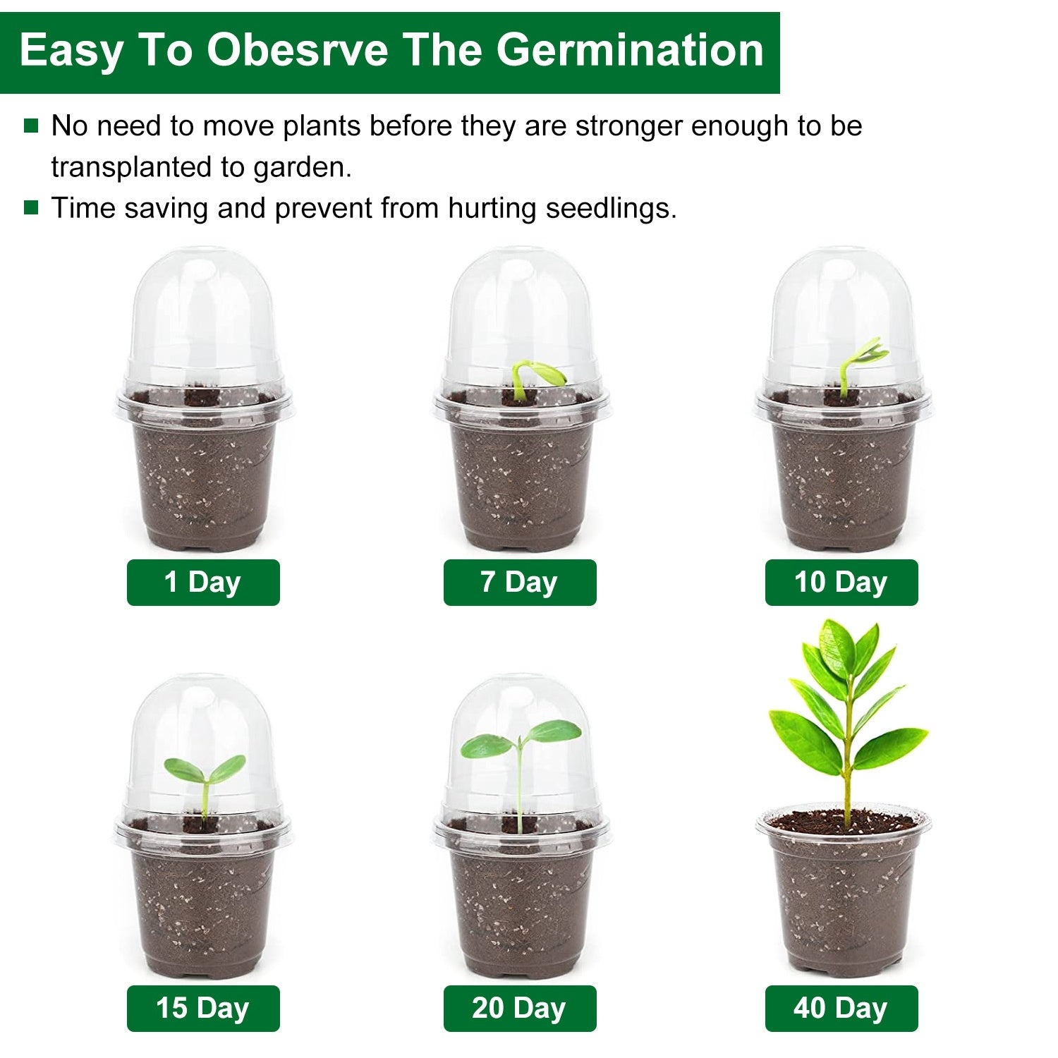 Propagation Dome Pot — See Roots Form, Keep Cuttings Happy