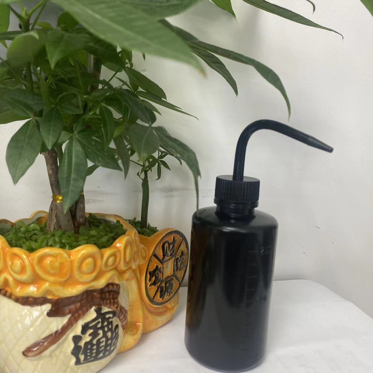 Gentle Spot Waterer for Indoor Pots and Cuttings 250/500ml