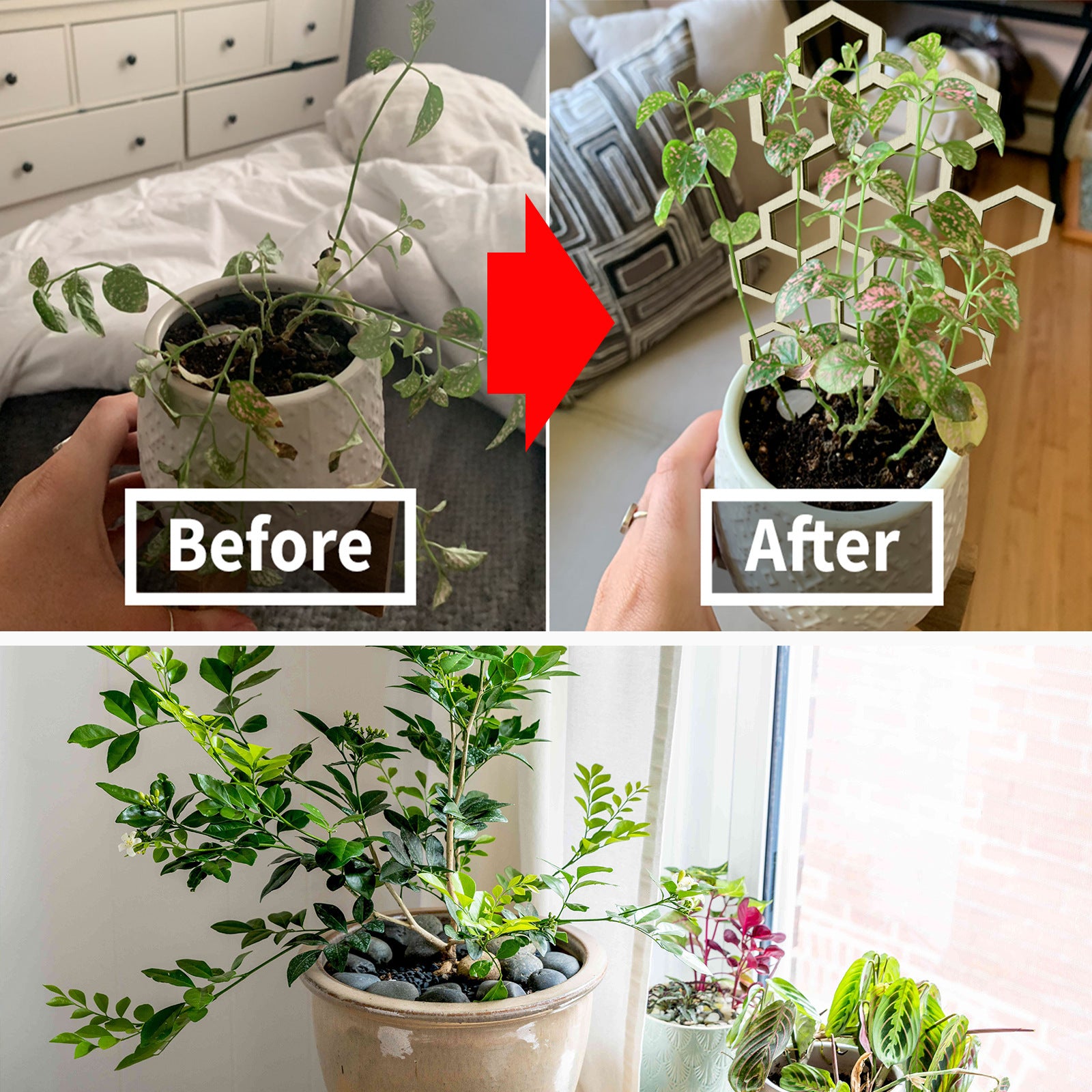 Space-Saving Support for Happy Indoor Climbers