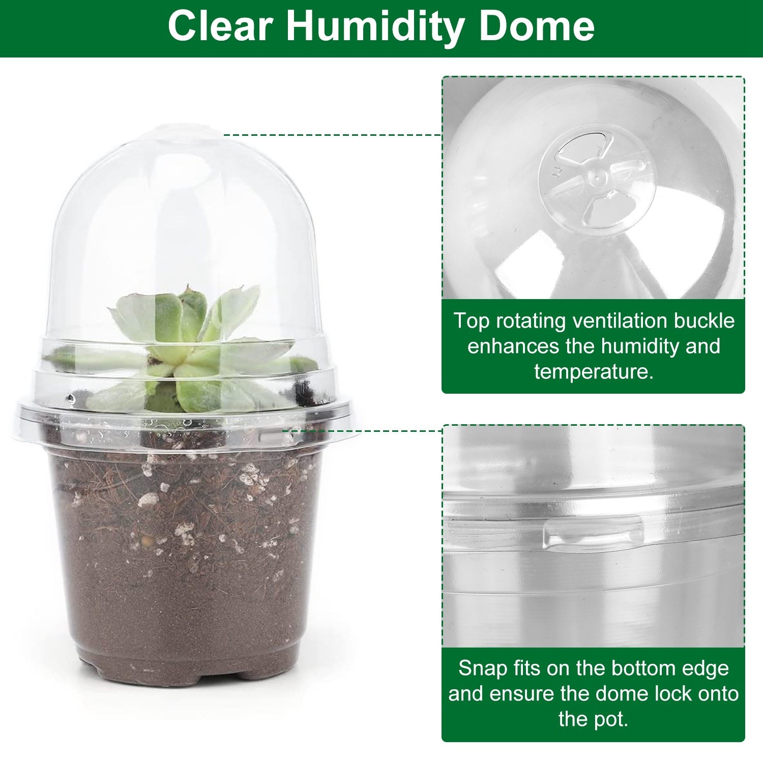 Propagation Dome Pot — See Roots Form, Keep Cuttings Happy