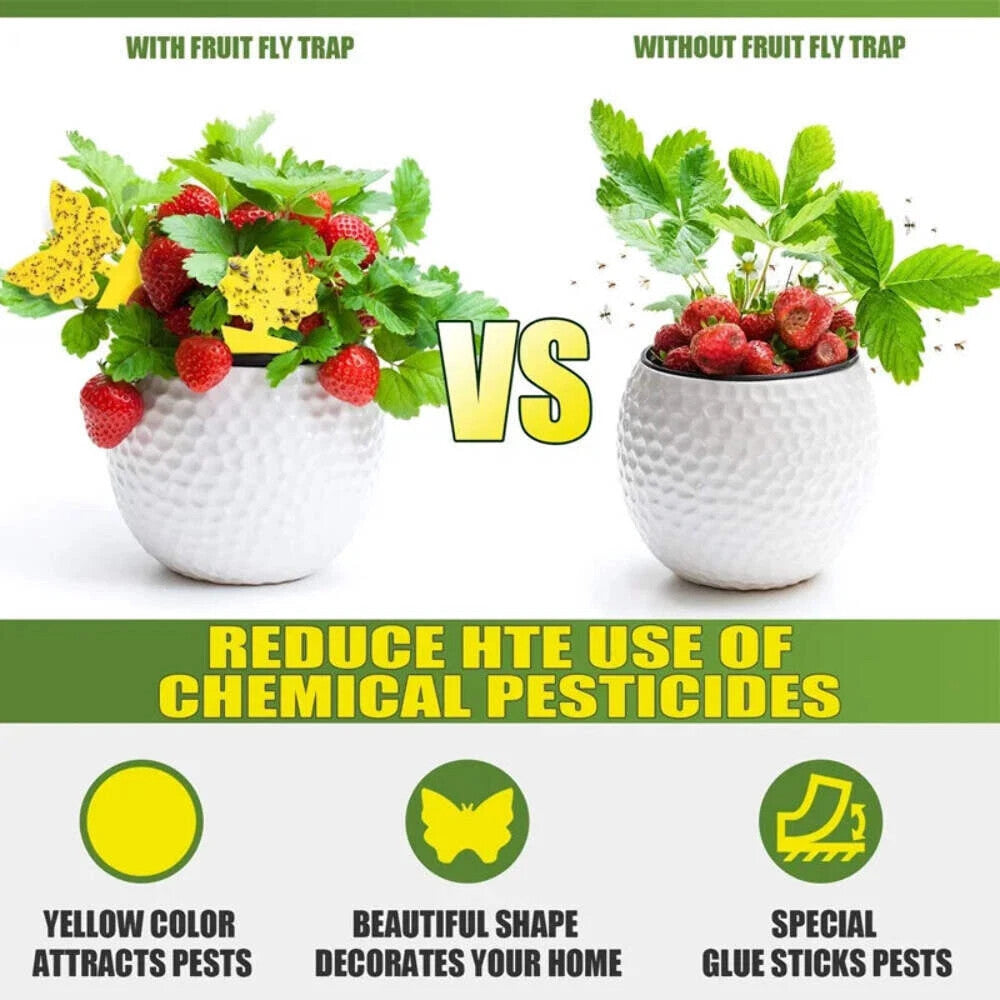 Sticky Fungus Gnat Traps for Happy Houseplants (20pcs)