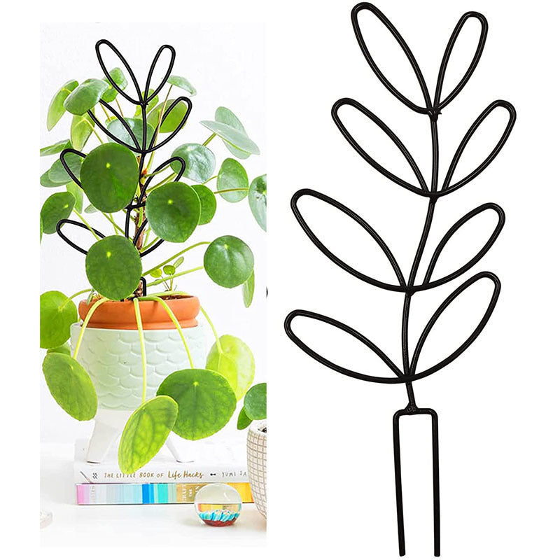 Metal Trellis to Train Happy Indoor Vines