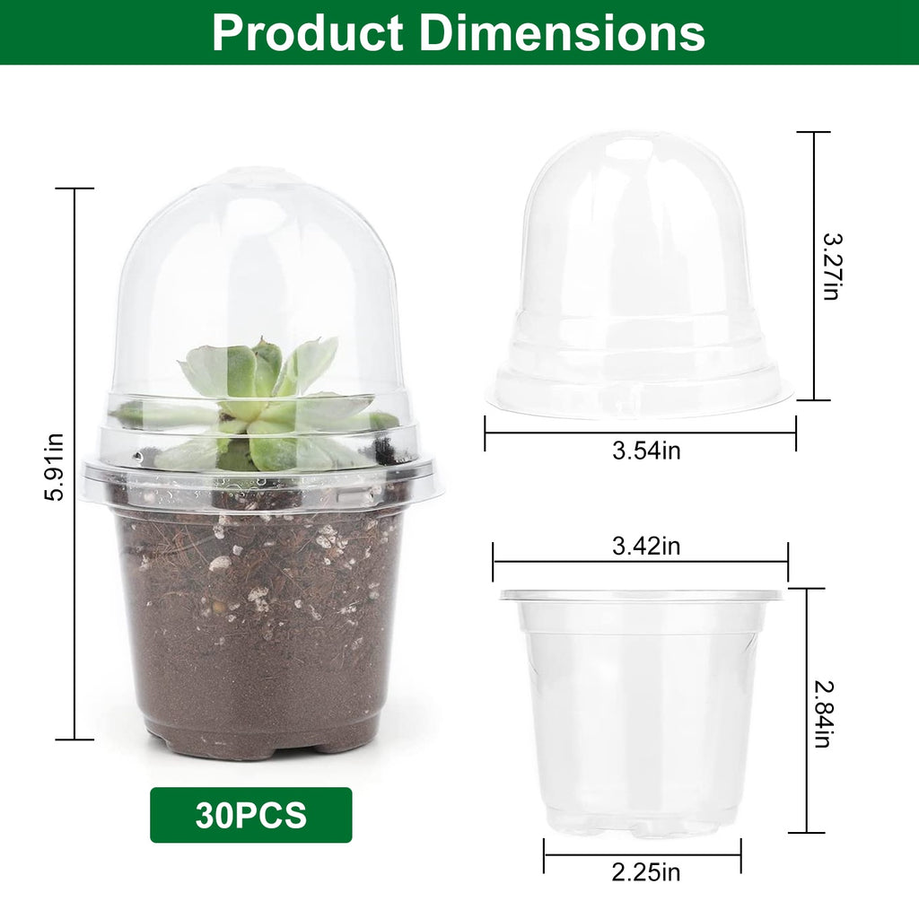 Propagation Dome Pot — See Roots Form, Keep Cuttings Happy