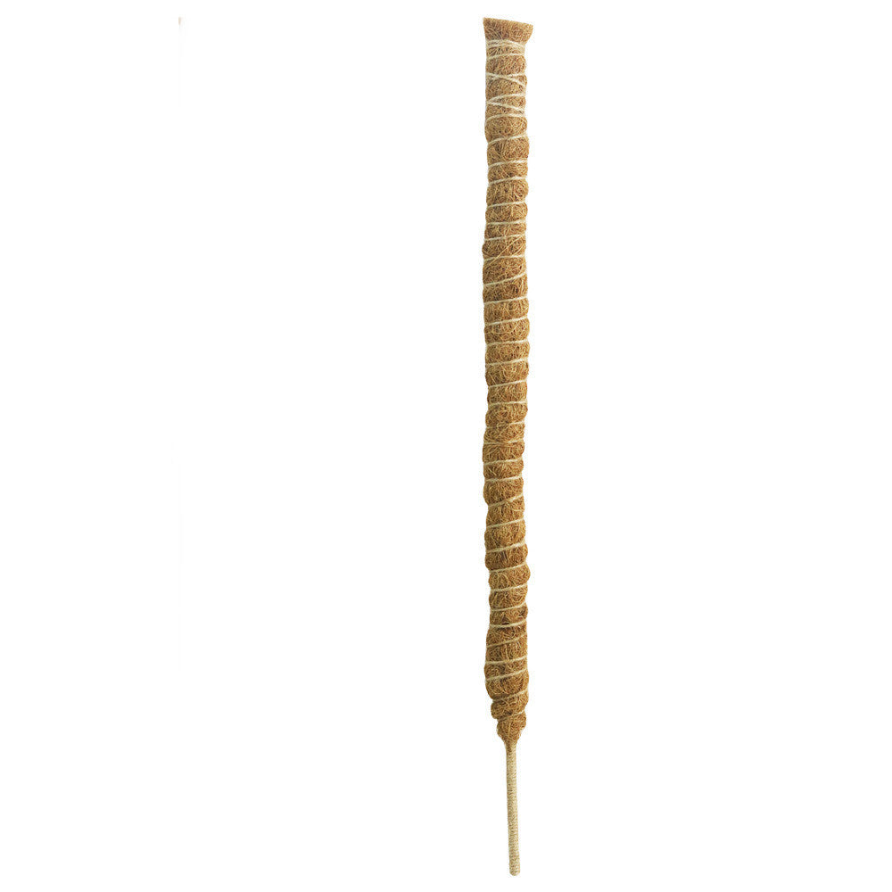 Flexible Coir Moss Pole for Happy, Upright Climbers