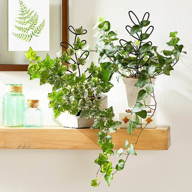 Metal Trellis to Train Happy Indoor Vines