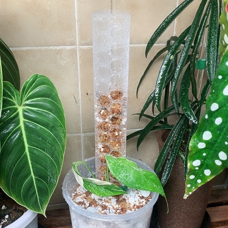 Extendable Snap-Together Curved Moss Pole — Train Monstera and Philodendron