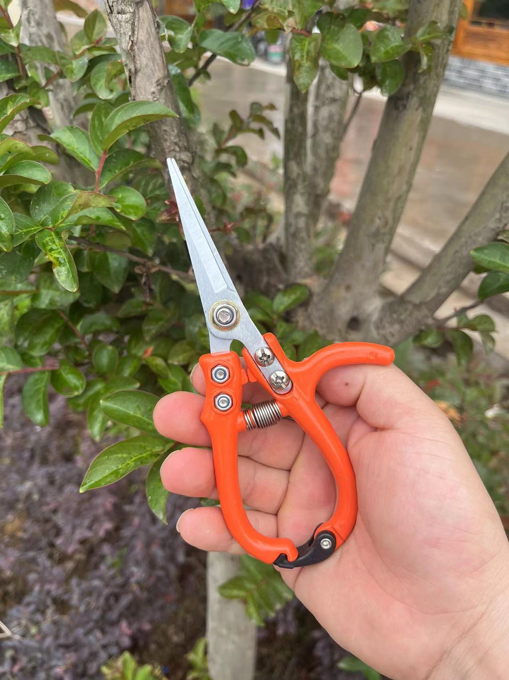 Multi-Use Plant Pruners —Safe Easy Trimming for Happy Plants
