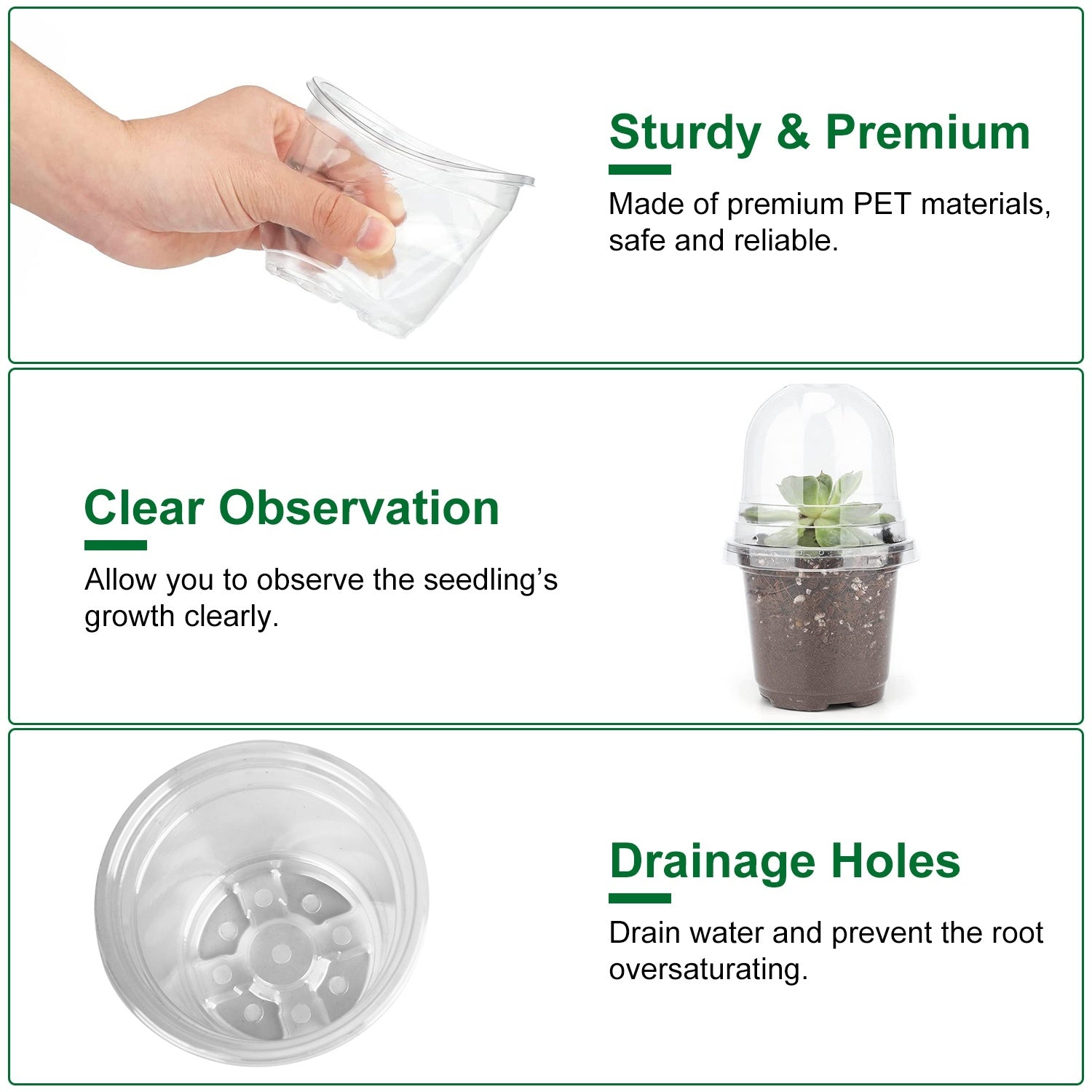 Propagation Dome Pot — See Roots Form, Keep Cuttings Happy
