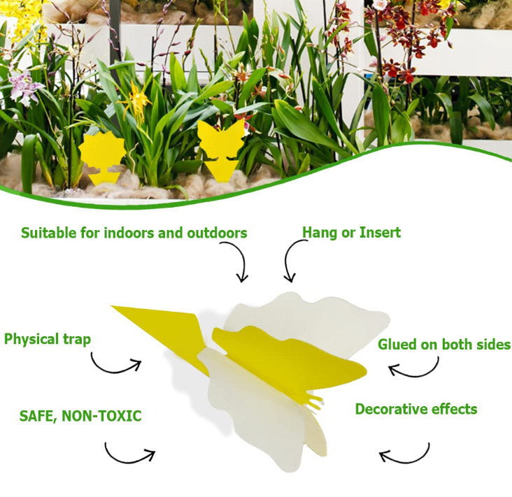 Sticky Fungus Gnat Traps for Happy Houseplants (20pcs)