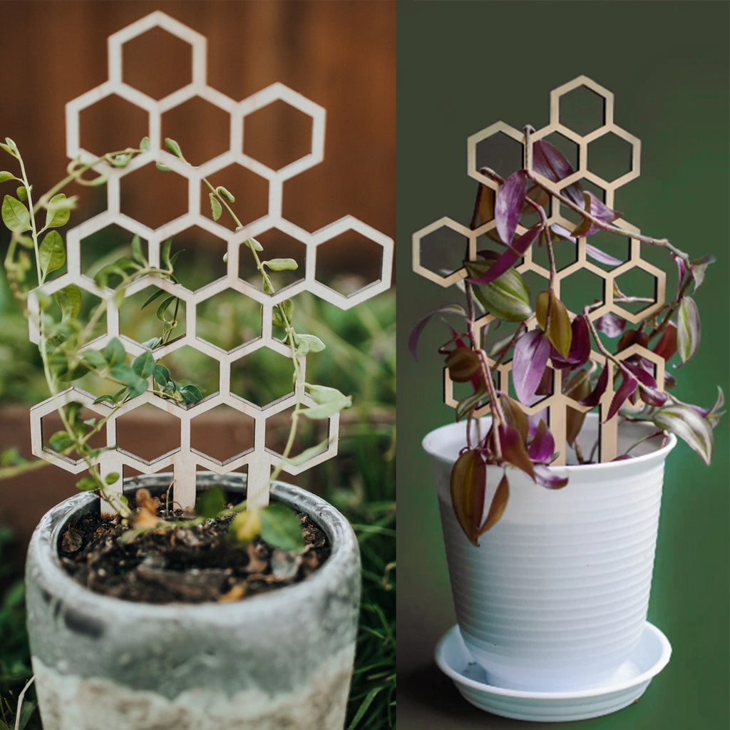Space-Saving Support for Happy Indoor Climbers
