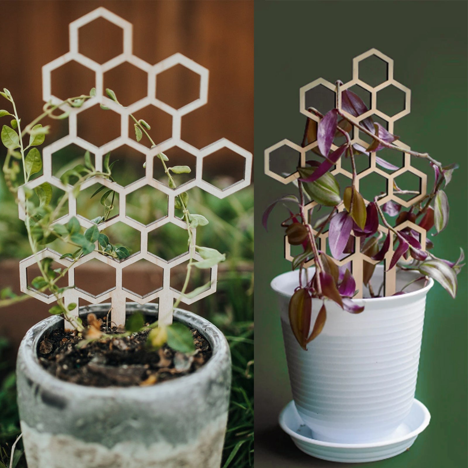 Space-Saving Support for Happy Indoor Climbers
