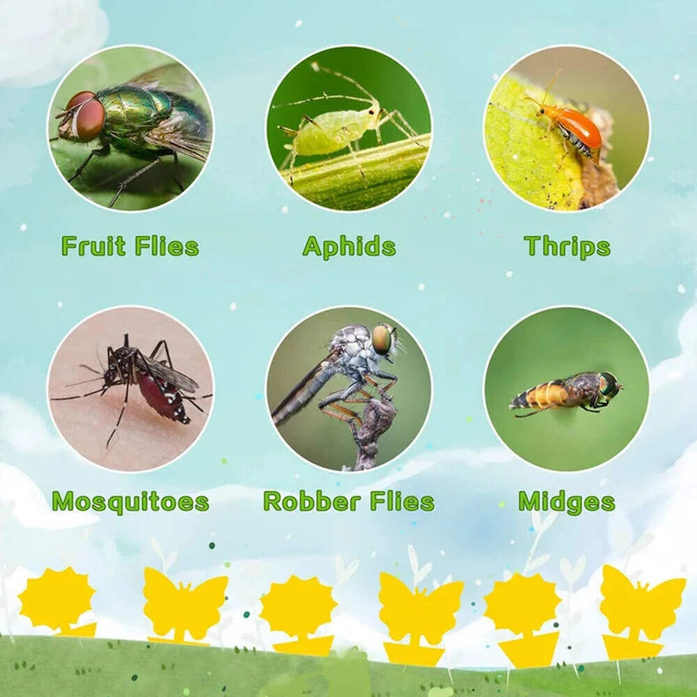 Sticky Fungus Gnat Traps for Happy Houseplants (20pcs)